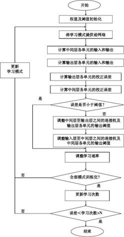 从算法到应用 计算机视觉技术的全链路开发与实现
